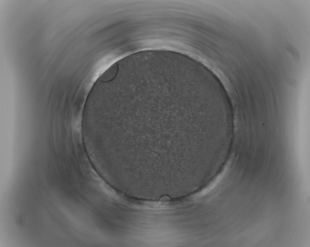 X0000115051529200911091415