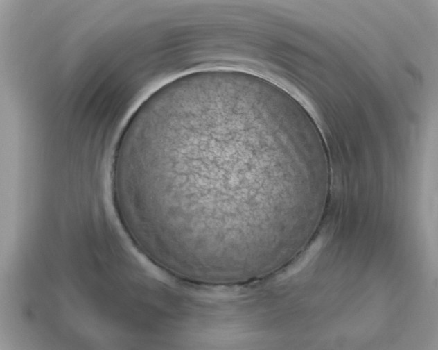 X0000115051533200911091415