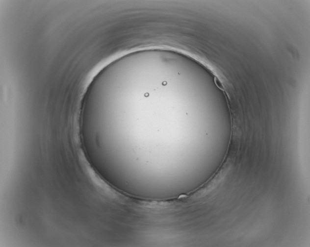 X0000115051534200911091415