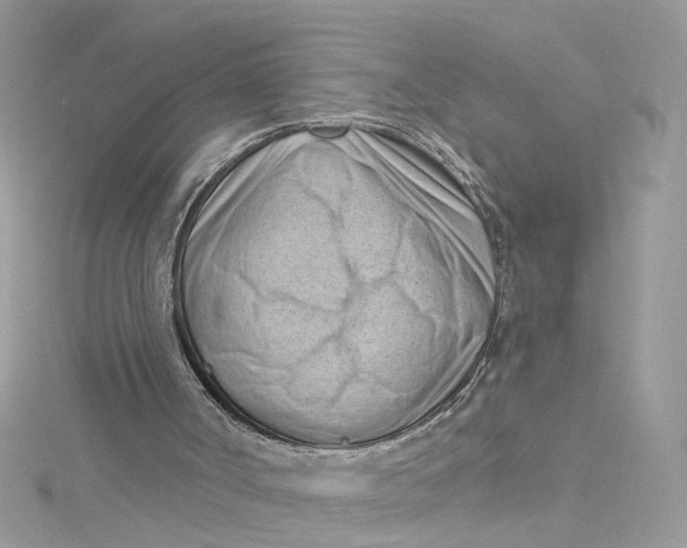 X0000115050002200911161557