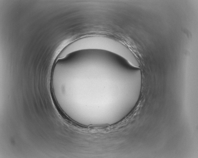 X0000115050003200911161557