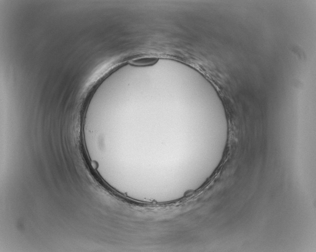 X0000115050005200911161557