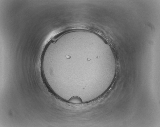 X0000115050006200911161557