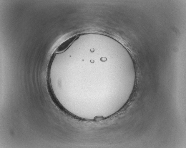 X0000115050007200911161557