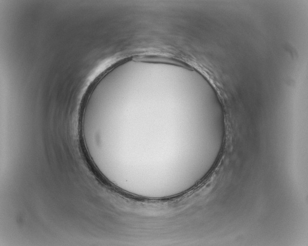 X0000115050008200911161557