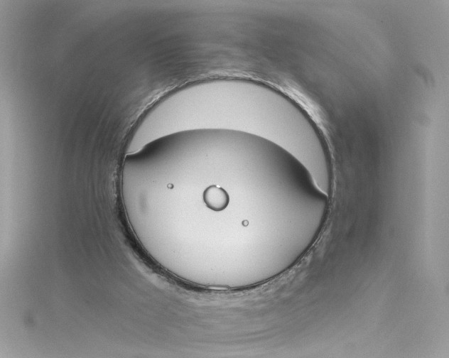 X0000115050009200911161557