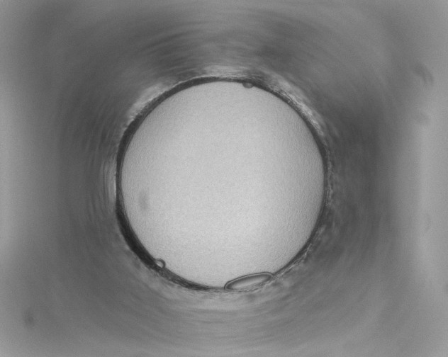 X0000115050011200911161557