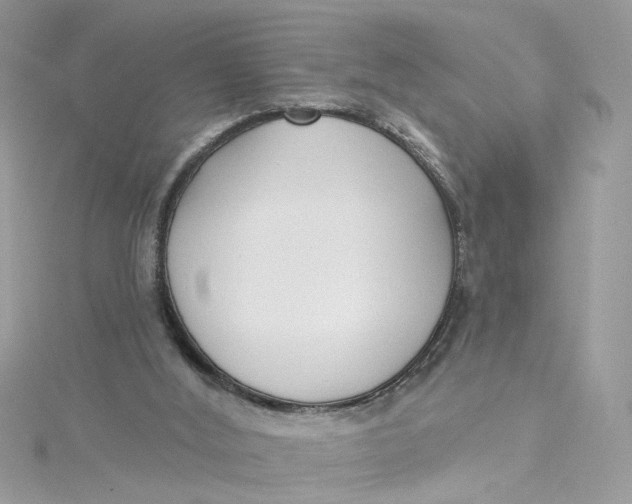 X0000115050012200911161557