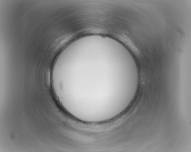 X0000115050014200911161557