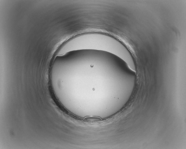 X0000115050015200911161557