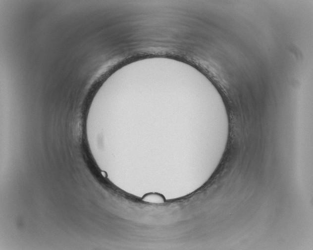 X0000115050016200911161557