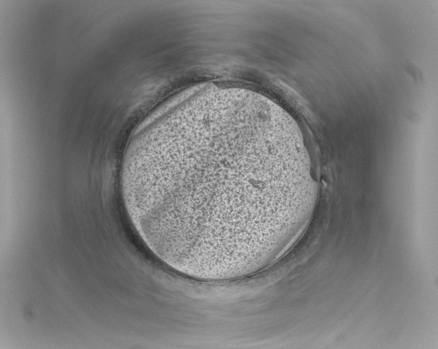 X0000115050018200911161557