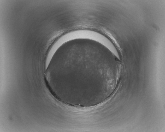 X0000115050019200911161557