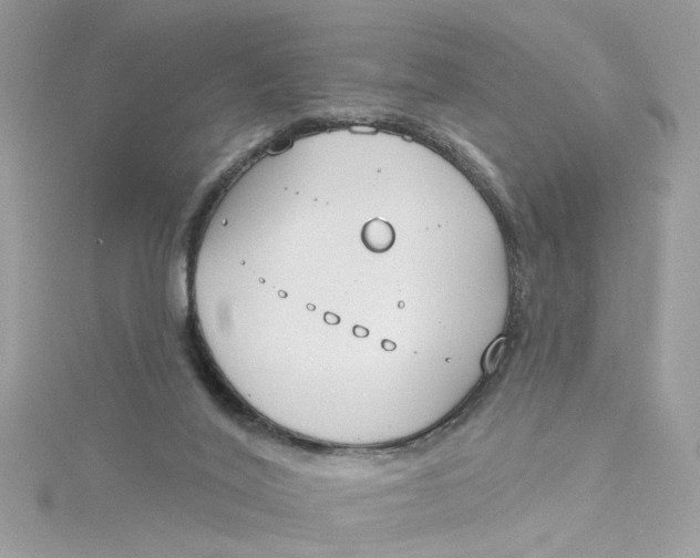 X0000115050020200911161557