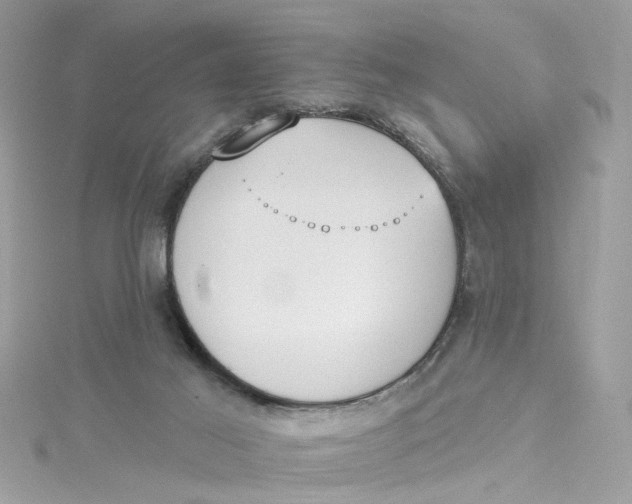 X0000115050021200911161557