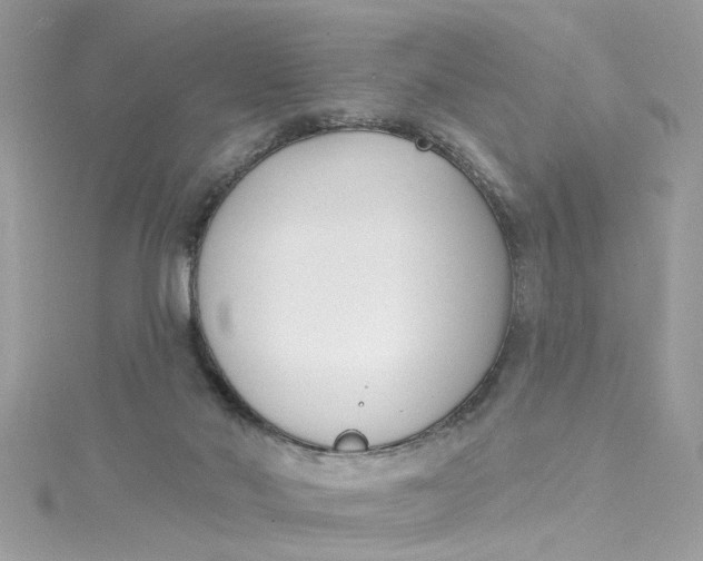 X0000115050022200911161557