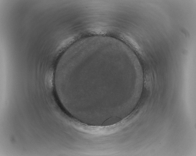 X0000115050023200911161557