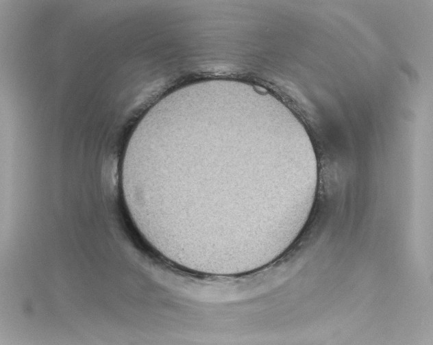 X0000115050024200911161557