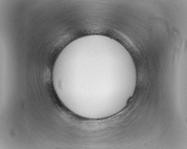 X0000115050025200911161557