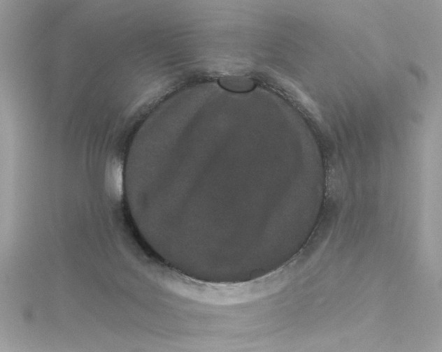 X0000115050027200911161557