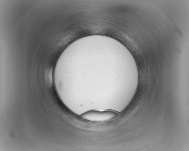 X0000115050028200911161557