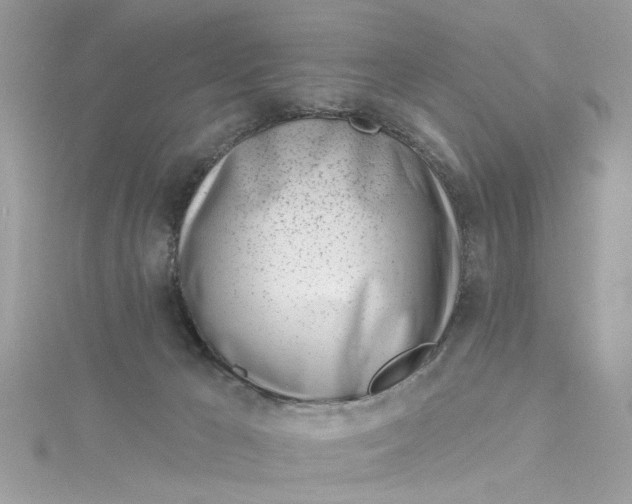 X0000115050029200911161557