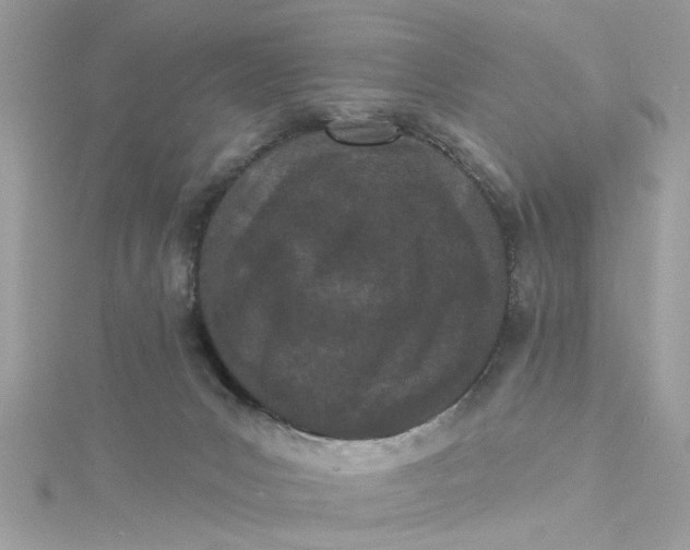 X0000115050031200911161557