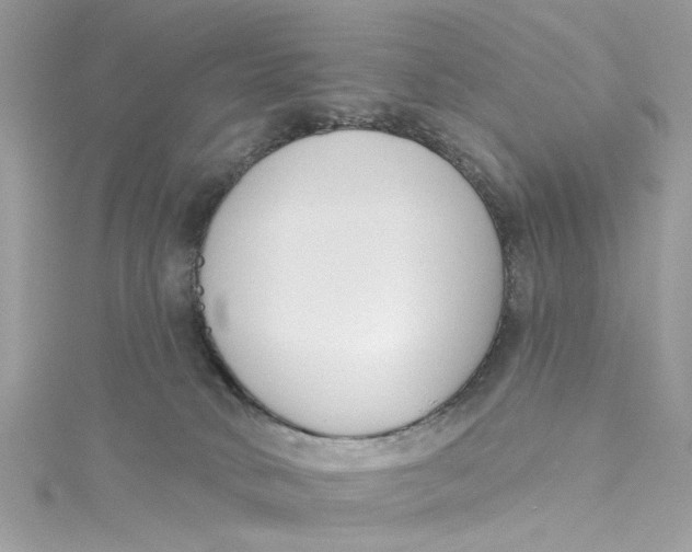 X0000115050034200911161557