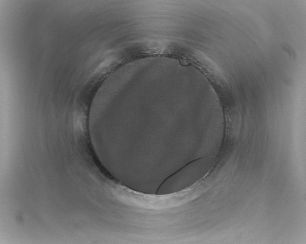 X0000115050035200911161557