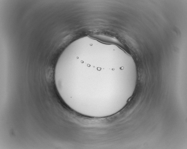 X0000115050036200911161557