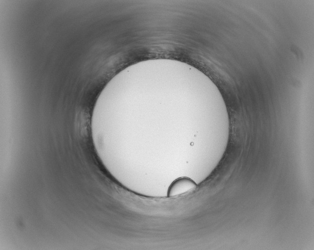 X0000115050038200911161557