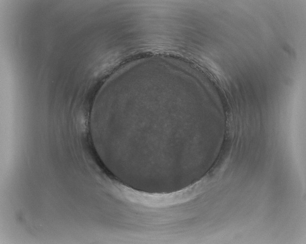 X0000115050039200911161557