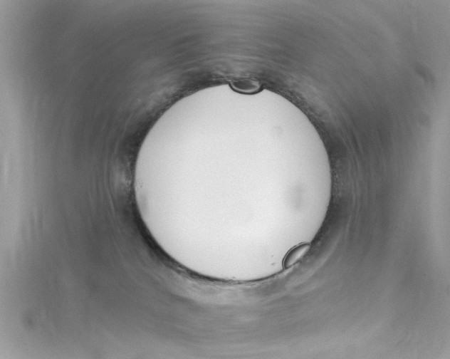 X0000115050040200911161557