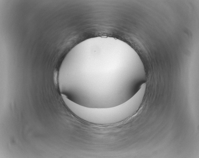 X0000115050041200911161556