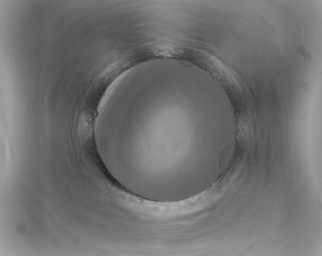 X0000115050043200911161556