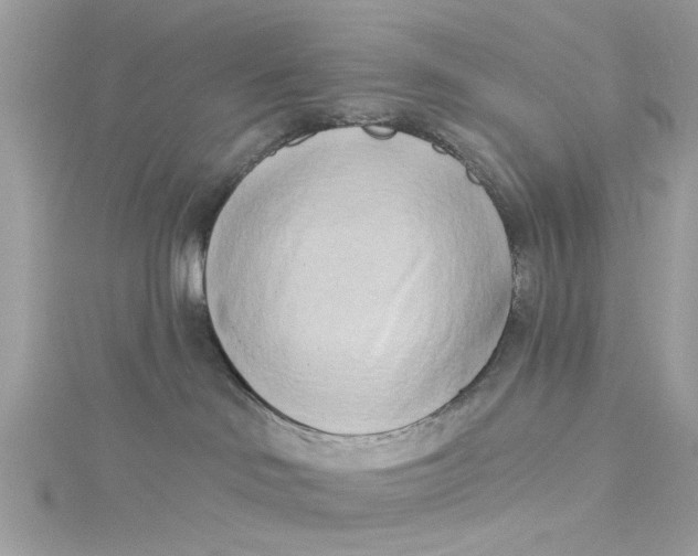 X0000115050046200911161556