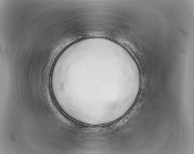 X0000115050049200911161556