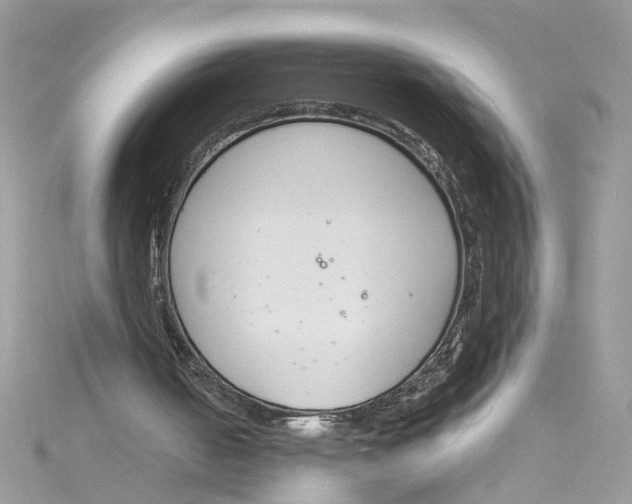 X0000115050050200911161556