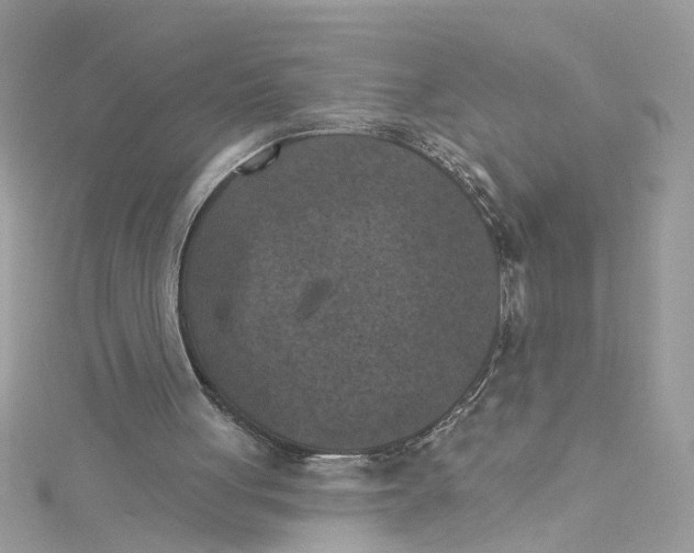 X0000115050051200911161556