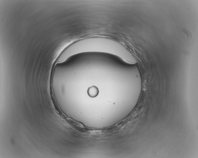 X0000115050052200911161556