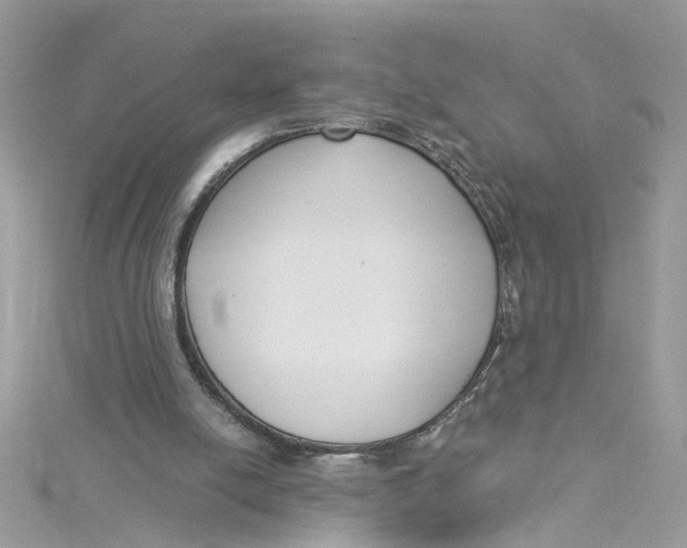 X0000115050054200911161556