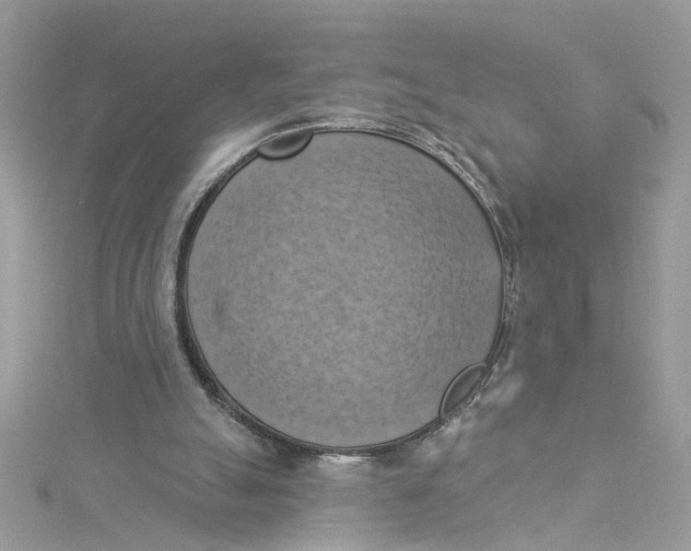 X0000115050055200911161556