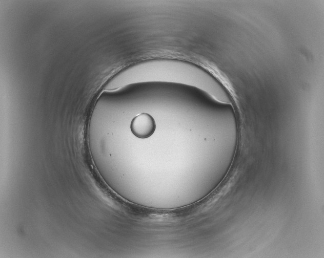 X0000115050057200911161556