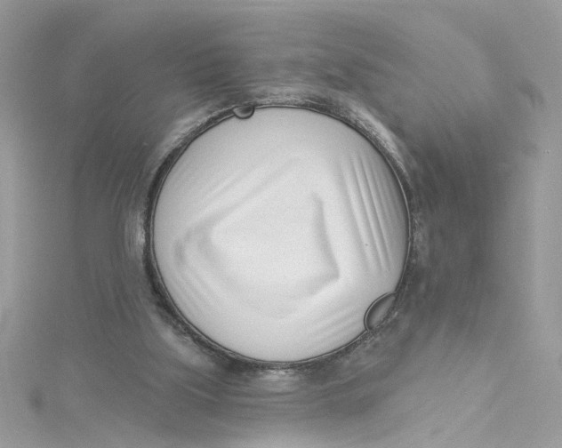 X0000115050059200911161556