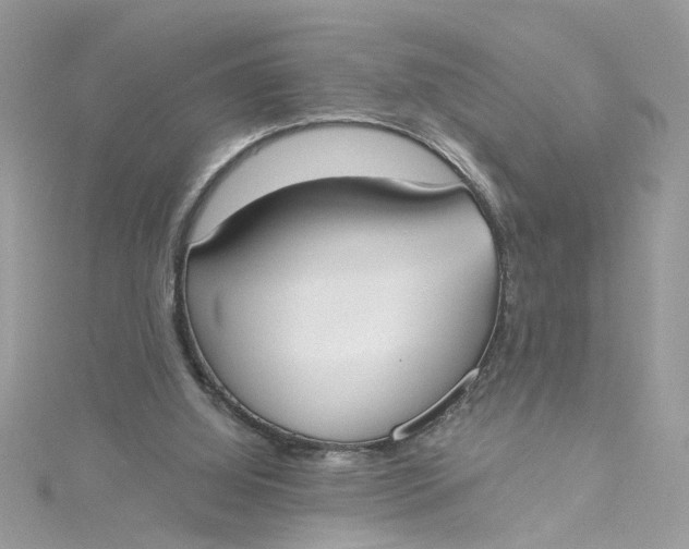 X0000115050060200911161556