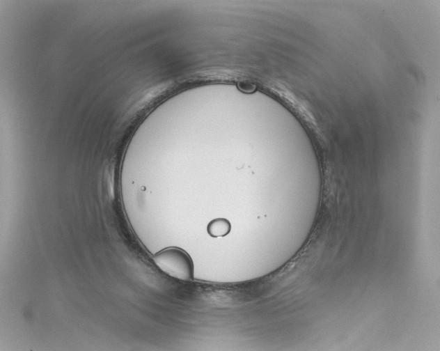 X0000115050062200911161556