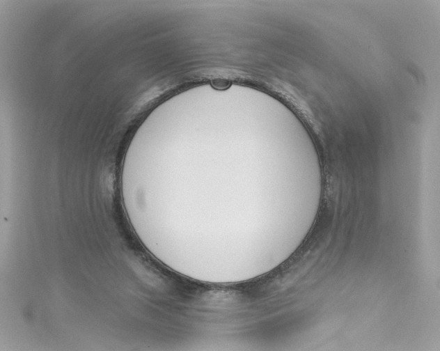 X0000115050063200911161556