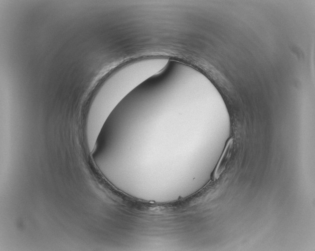 X0000115050064200911161556