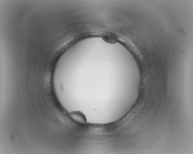 X0000115050066200911161556