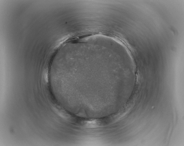 X0000115050068200911161556